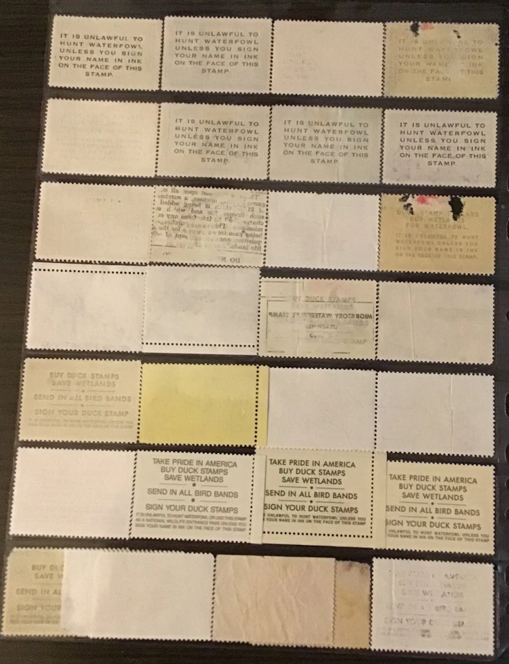 U.S. Stamps - Large Duck Stamp Collection!! - Image 2 of 4