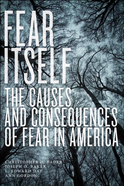 Fear Itself by Ann Gordon PAPERBACK 9781479869817