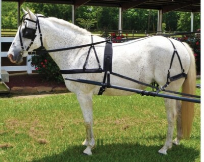 Cob Horse Driving Harness - Cob/Small Horse - Black Nylon - Low Maintenance