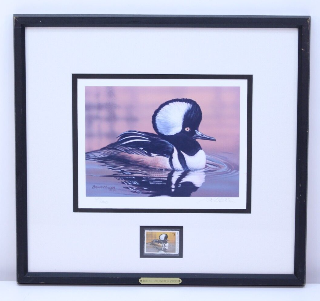 Premium AI Image | Cute Hooded Merganser Bird Watercolor Illustration Clipart 962764 9411