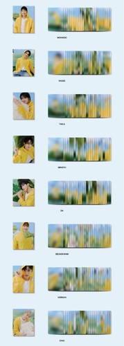 SEVENTEEN SEVENTEENTH HEAVEN 11th Mini Album Carat Ver (Random) - Picture 7 of 9