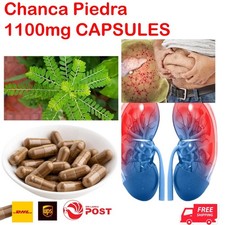 Chanca Piedra 1100 mg 60 CAPSULES Peruvian material Stone Breaker CHANCAPIEDRA