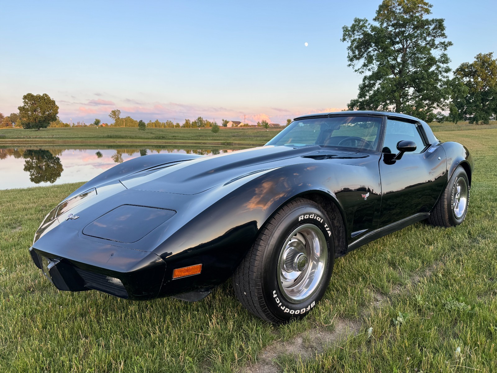1979 Chevrolet Corvette for sale in Ortonville Michigan