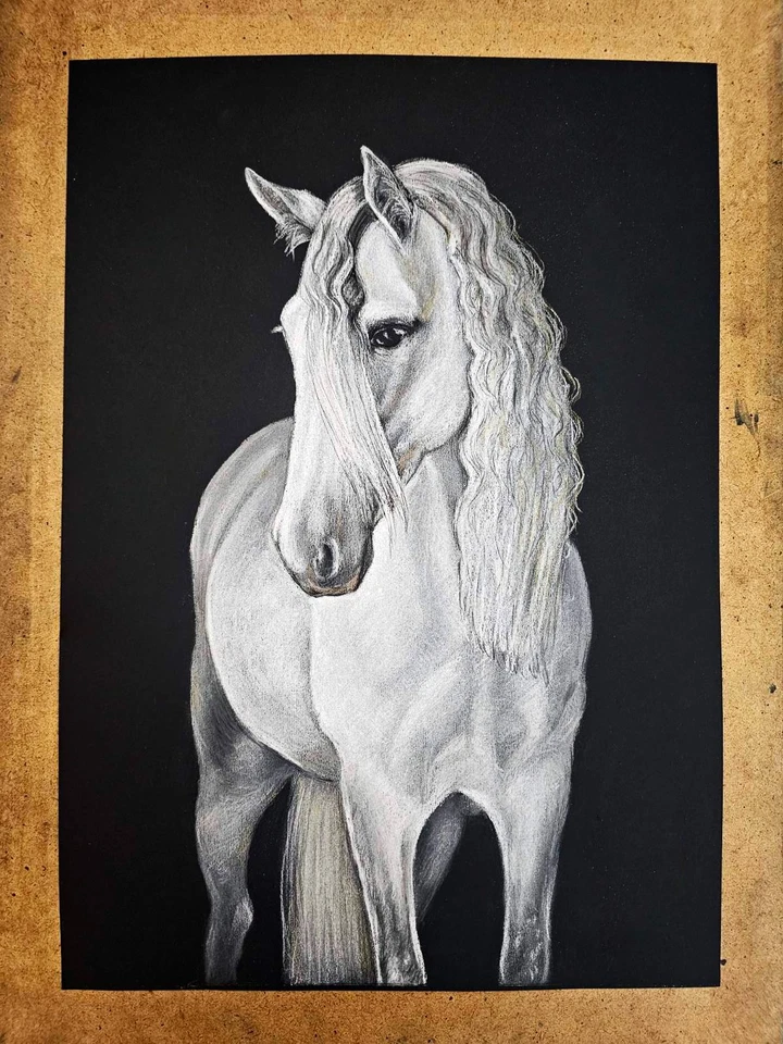 Dibujo pastel caballo blanco A3 arte equino realista en papel negro gracia y poder Foto 4 de 4