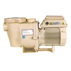 Pentair EC-011533 WhisperFlo VS Variable Speed Pool Pump, 2.6 THP