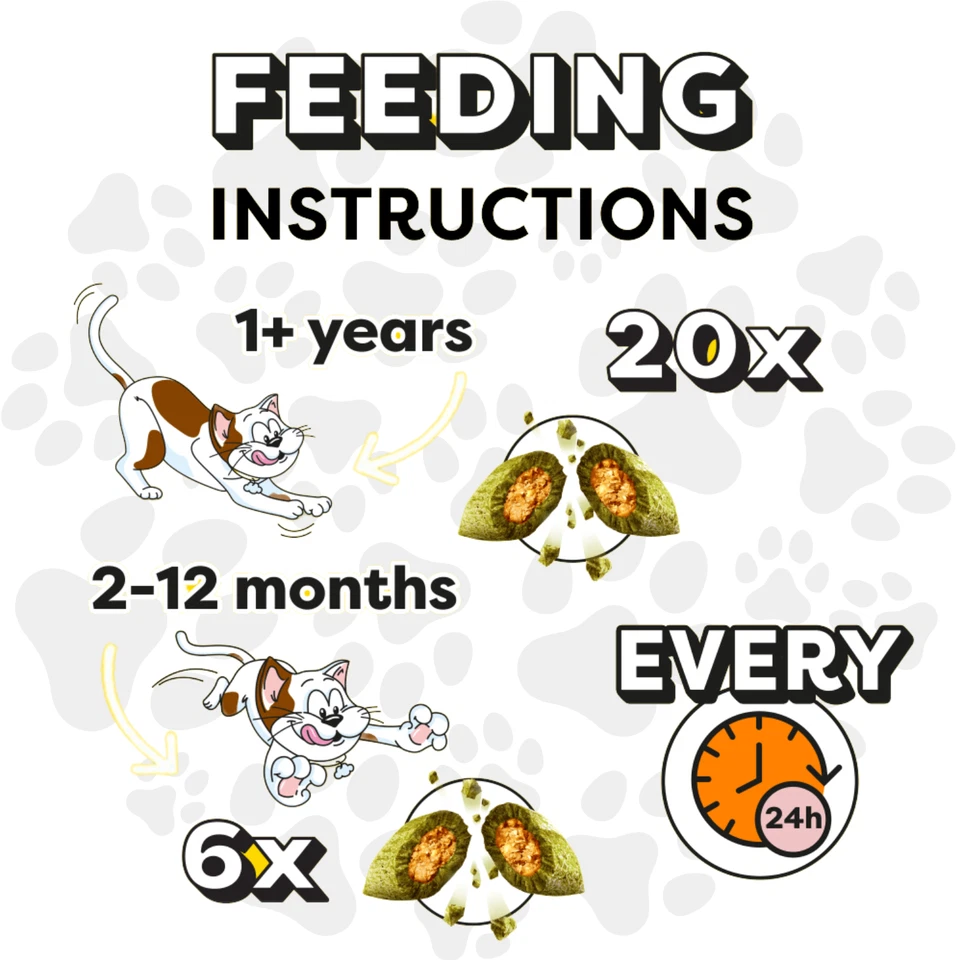 Dreamies Cat Treats 2 x 350g - IRRESISTIBLE CATNIP - Crunchy Snacks - Mega Tub - Image 3 of 3