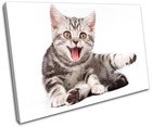 Kittens Cats Pets Animals SINGLE CANVAS WALL ART Picture Print VA