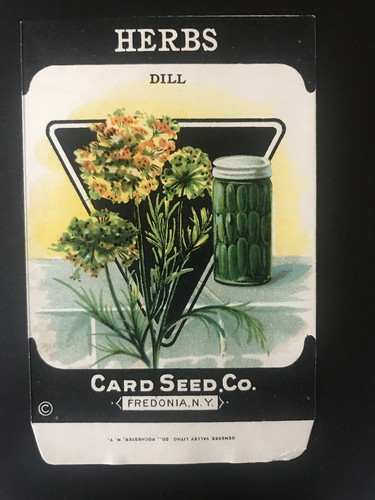 1920s Litho Antique Vintage Card Seed Co. Packet Pack Herbs Dill Unused Mint