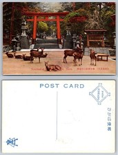 Nara Japan Postcard Kasuga Taisha Shrine Torii Gate Sika Deer Kinkado