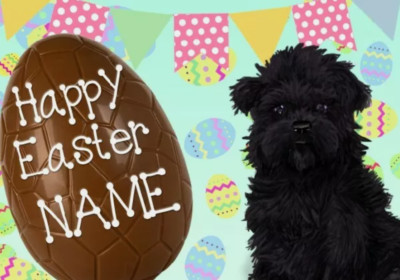 Affenpinscher Hund Frohe Ostern personalisierte Grußkarte A5 Schokoladenei EE82