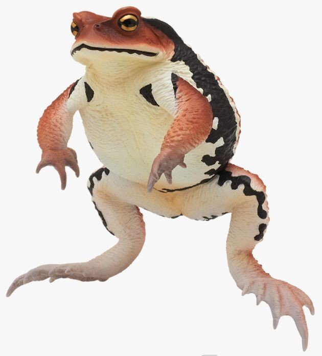 Nature Techni Colour Japanese Common Toad Figure Red Brown 11.3 cm