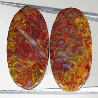 26.90Cts Natural Red Palm Root Agate Oval Pair Cabochon Loose Gemstone 13x26x4mm