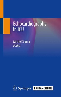 Echocardiography in ICU Michel Slama Taschenbuch xix Englisch 2020 Springer