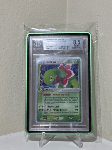 Meganium ex graded BGS 8.5 for sale on eBay