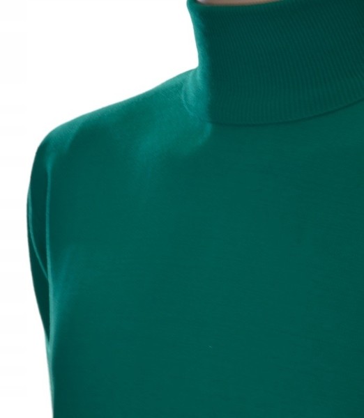 Rollkragenpullover Herren Kaschmir Und Merinowolle Merinos Xl GrüN 344-image