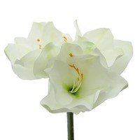 Gasper PräChtige Amaryllis Weiß - StielläNge 56 Cm - Kunstblumen