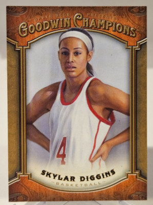 2014 Goodwin Champions SKYLAR DIGGINS #15