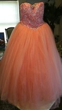 PRINCESS Gown Size 14