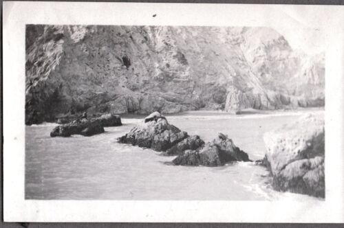 VINTAGE PHOTOGRAPH 1912 BEN THE SEAL ROCKS CATALINA ISLAND CALIFORNIA OLD PHOTO - Afbeelding 1 van 1
