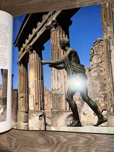 Huge Illustrated POMPEII by Filippo Coarelli COLOR PHOTOS Hardcover - Picture 6 of 15