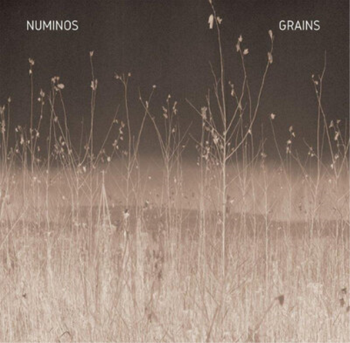 Numinos Grains (Vinyl LP) 12" Album