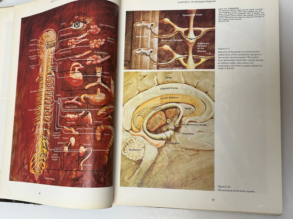 💥1970 Psychology Today An Introduction HC CRM Books College Book 1 Day Ship!👍 - Image 4 of 4