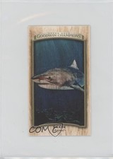 2017 Upper Deck Goodwin Champions Wood Mini Lumberjack Back 7/8 Shark #24 0nr3