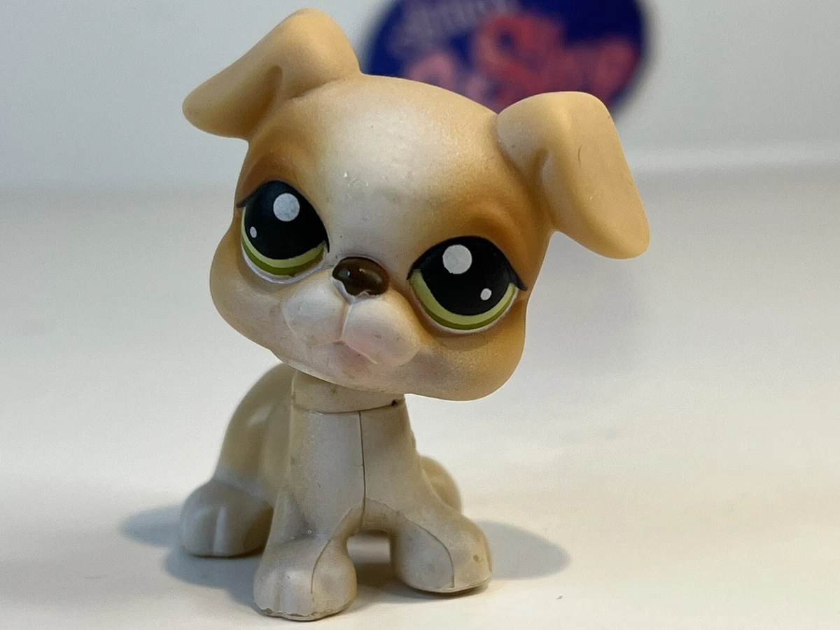 Lps boxer store dog
