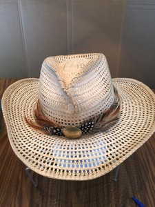 bailey renegade cowboy hat