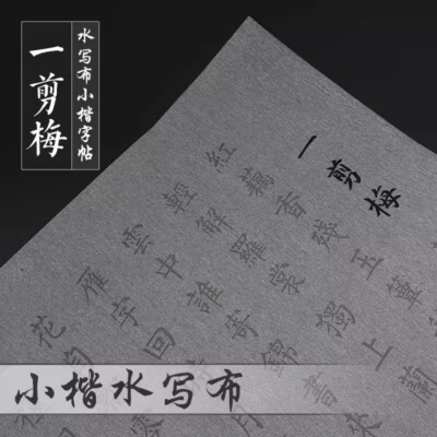 Chinese Copybook Classic Calligraphy Character Practice Book毛笔书法水写布柳公权柳体楷书李清照一剪梅