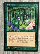 MTG Foreign Language 4th Edition Singles FBB **Choose Your Cards ** $0.99-$10.99