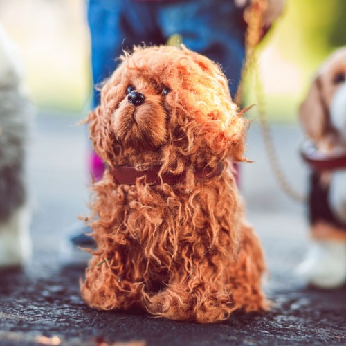 The Queen's Treasures 18" accessorio bambola Labradoodle cucciolo cane adatto ragazza americana - Foto 3 di 12