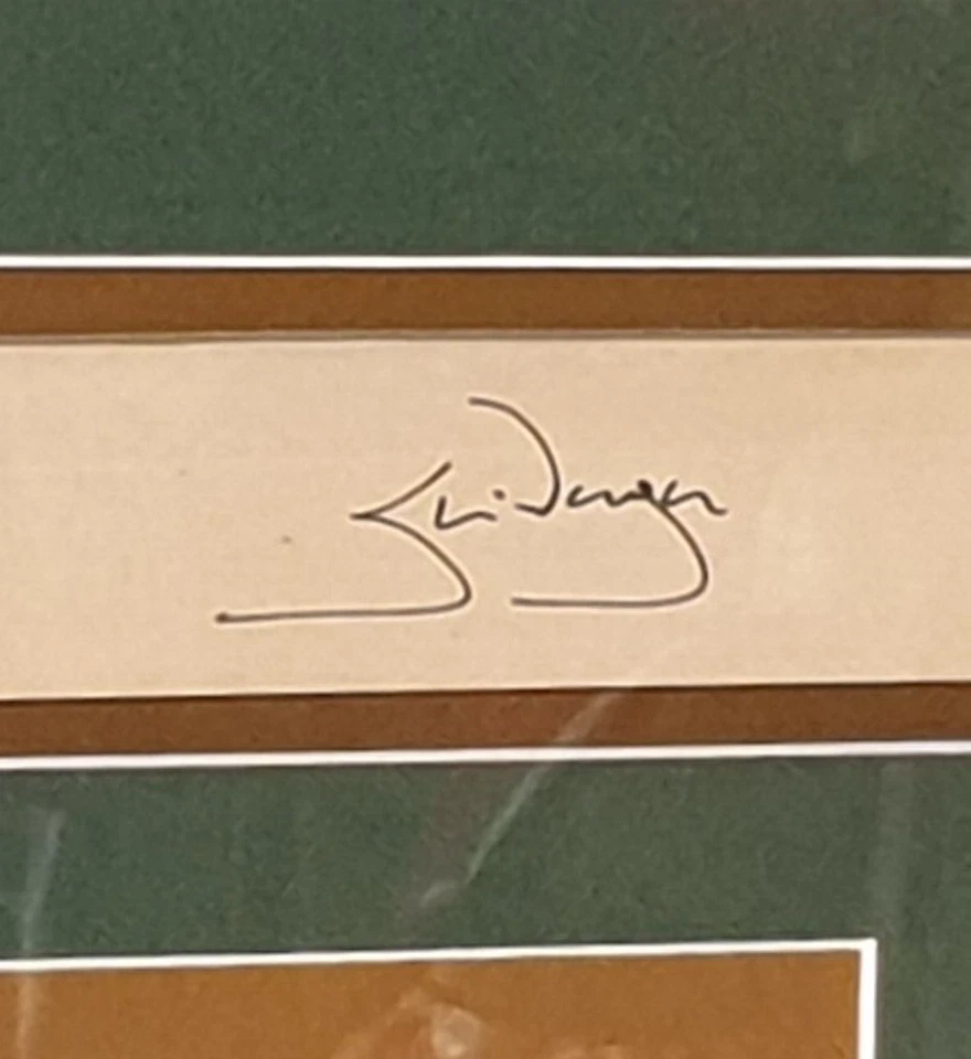 Steve Waugh - Framed Autographed Mini Bat - Signed - Steve Waugh Foundation - image 3 of 3