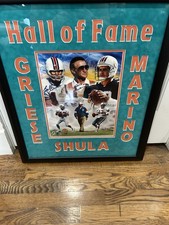 Miami Dolphins Collecting and Fan Guide 88