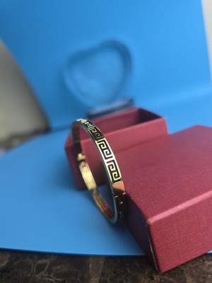V GOLD Stainless Steel BRACELET LUXURY design brand bangle romain 