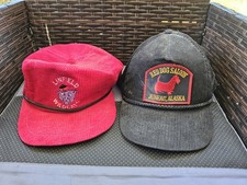 Red Dog Saloon Alaska  Linfild Wildcats Hats Advertising Pre Owned Condition P2