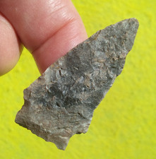 1-7/8" WAYLAND NOTCHED MASSACHUSETTS ARROWHEAD Authentic Projectile Point ATLATL