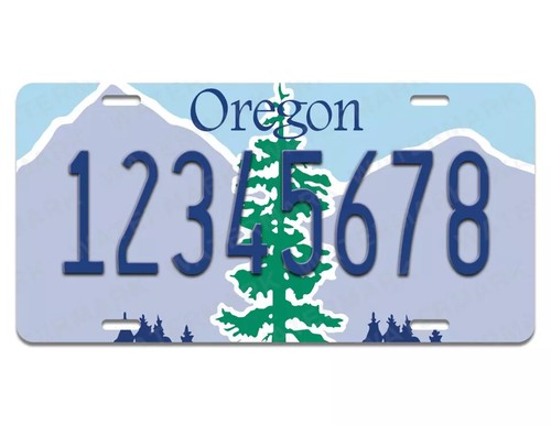 Personalize Custom License Plate Tag for Any State Auto Car Motorcycle ATV Moped - Picture 61 of 85