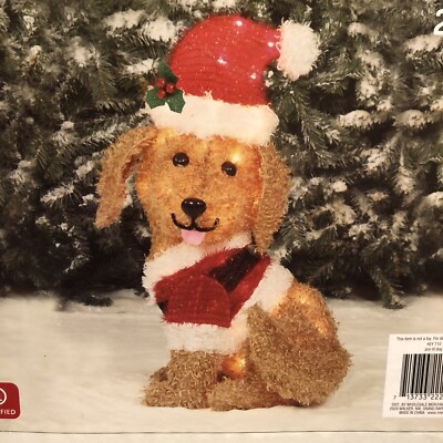 NEW! 24in Pre-Lit Christmas Doodle Dog in Santa Suit Outdoor/Indoor  Sculpture | eBay