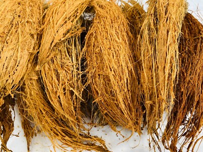 Coconut Husk Fiber Ceylon Pure Organic Coir Anthurium Orchids Growing Media