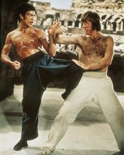 CHUCK NORRIS and BRUCE LEE Way of the Dragon Wall Art Photo Print Movie Scene