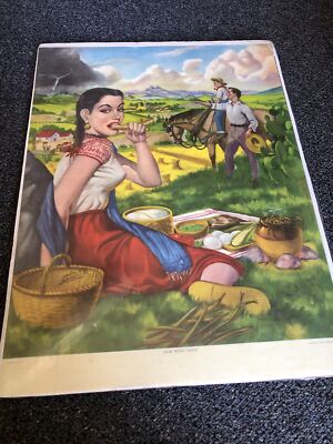 Que Rico Taco Poster Sealed Printed In Mexico