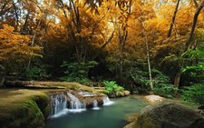 Landscape nature waterfall plants fall trees water Custom Gaming Mat Desk