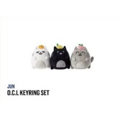 Artist-Made Collection by SEVENTEEN JUN O.C.L Keyring Set +