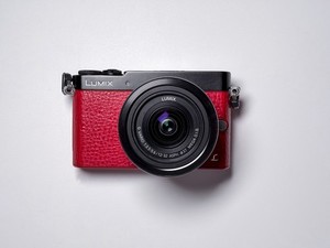 Lumix Gm5 | eBay