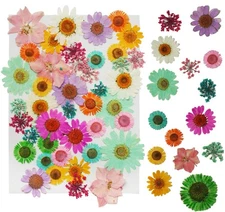 Dried Pressed Flowers for Resin, Real Flowers Dry Leaves Bulk Natural Herbs K...