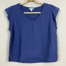 Periwinkle Blue Gauze V-neck Flutter Sleeve Top M