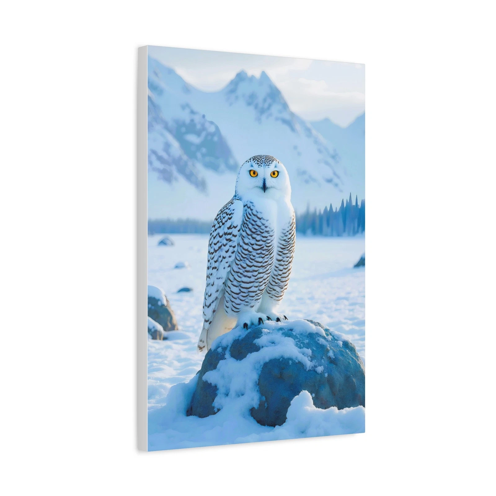 Snowy Owl On Rock Canvas Print | Snow Winter Landscape Matte Stretched Wall Art
Opens in a new windo