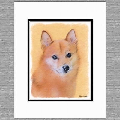 Finnish Spitz Original Art Print 8x10 Matted to 11x14