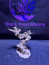 Ceramic Reef Rock Nano (170226) (L27cm/H27cm/D21cm)